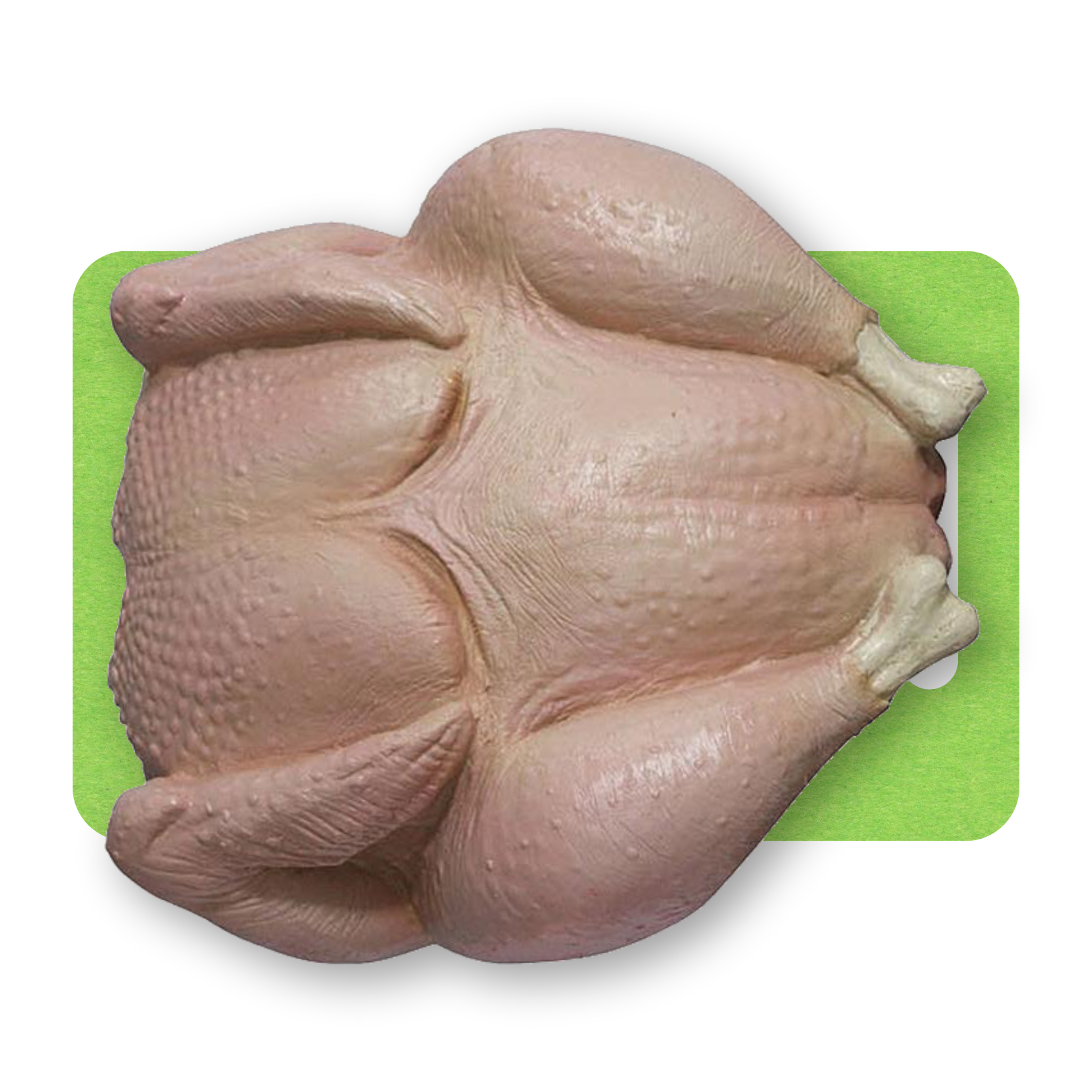 Halal Turkey Whole 5-7kg (PRE-ORDER ONLY)